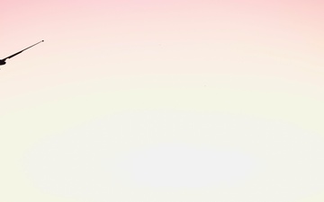 Beale Earns Prestigious Air Force Environmental Award