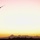 TU-2S Dragon Lady flies at dusk