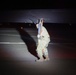 TU-2S Dragon Lady lands at night