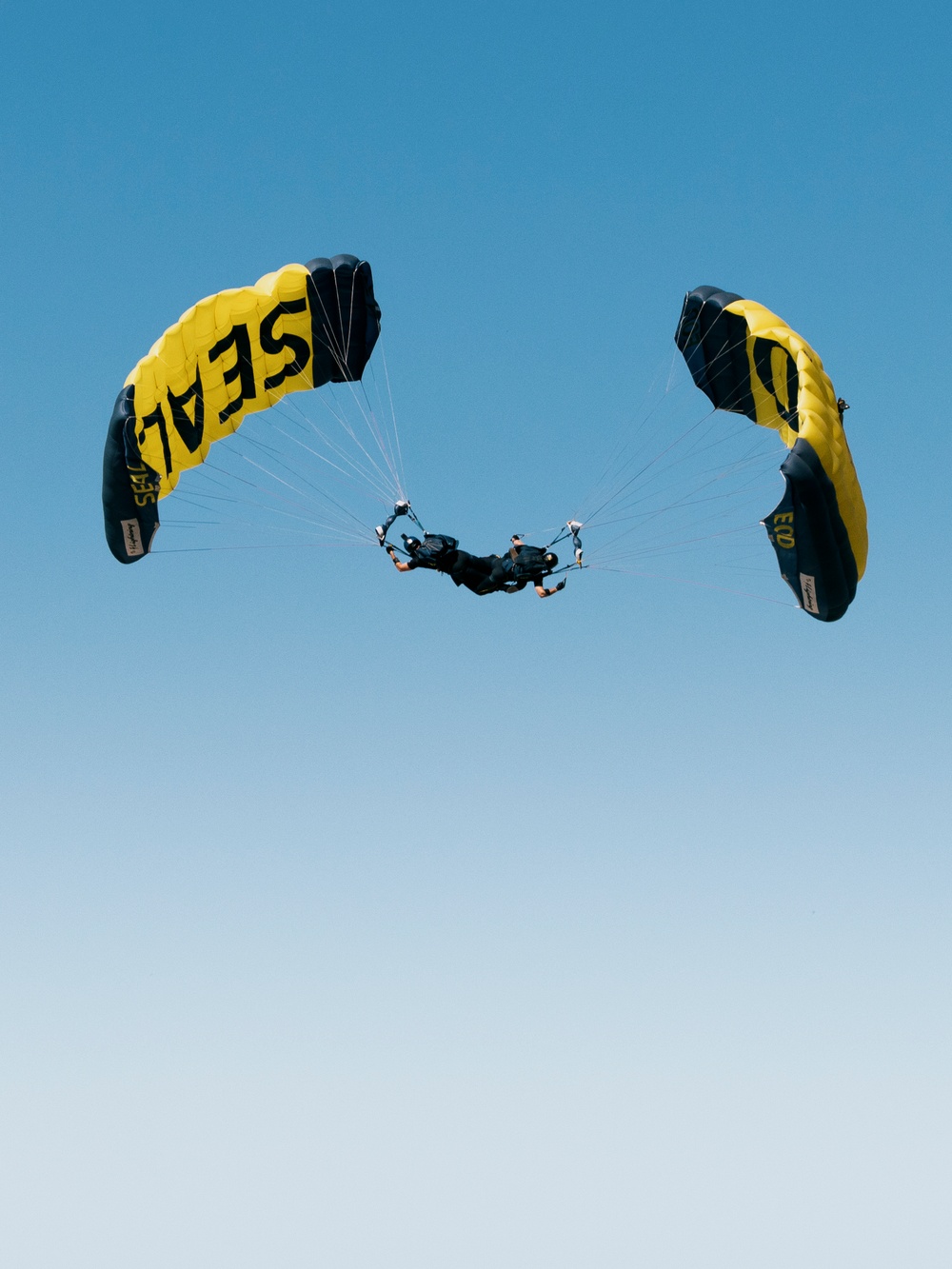 DVIDS Images Navy Parachute Team Jumps into Pacific Airshow Gold