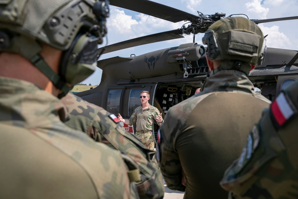 Polish soldiers assigned to Regional Command East of the KFOR mission participated in hot/cold load training at Camp Novo Selo.