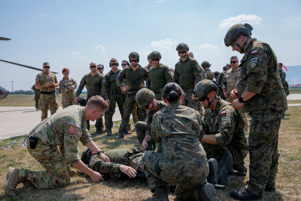 Polish soldiers assigned to Regional Command East of the KFOR mission participated in hot/cold load training at Camp Novo Selo, Kosovo Aug. 18, 2024.