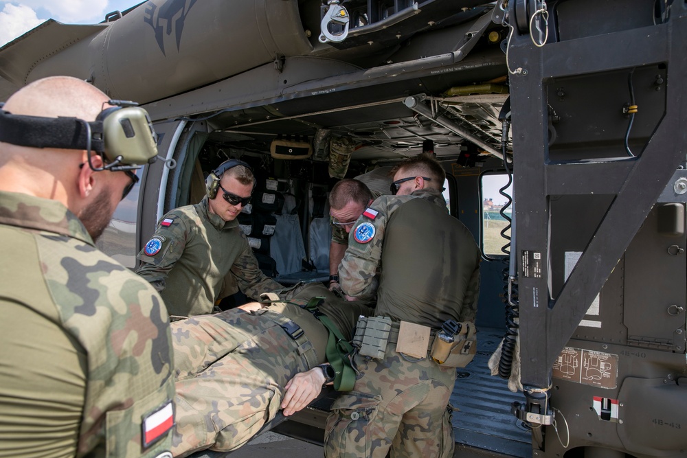 Polish soldiers assigned to Regional Command East of the KFOR mission participated in hot/cold load training at Camp Novo Selo, Kosovo Aug. 18, 2024.