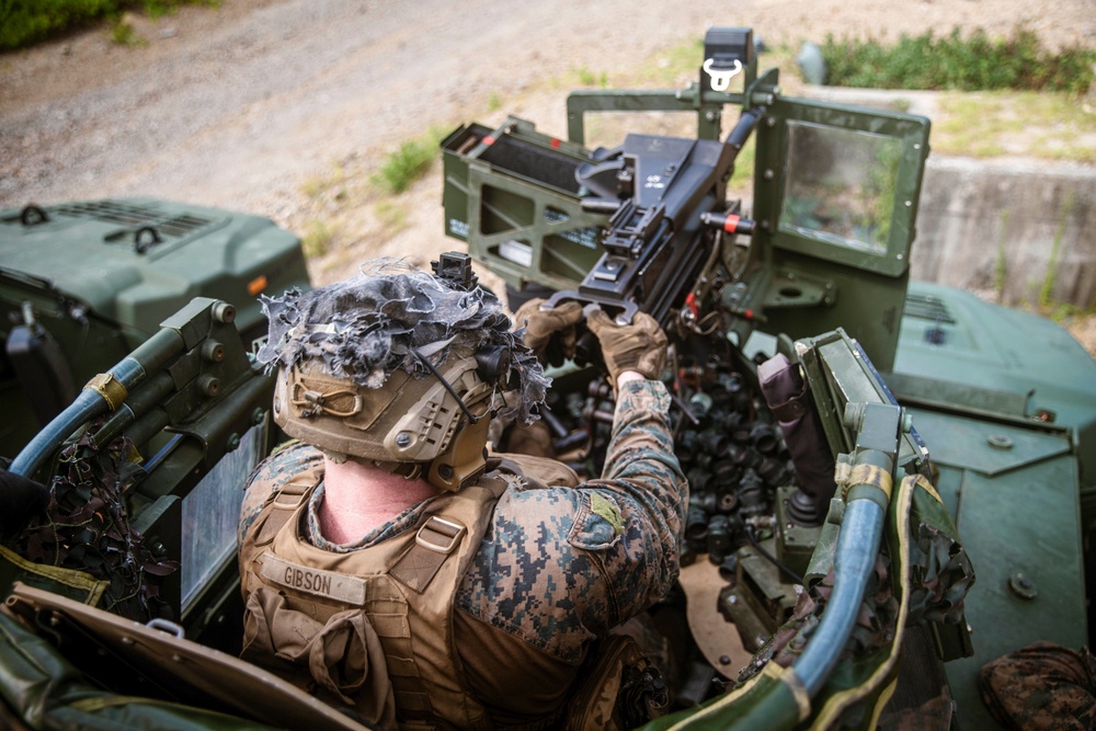 ROK Marines, BLT 1/5 Marines Conduct Live-fire Range in South Korea