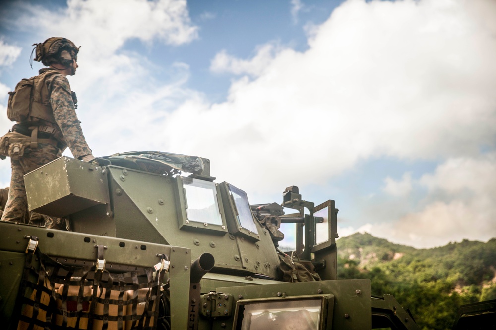 ROK Marines, BLT 1/5 Marines Conduct Live-fire Range in South Korea