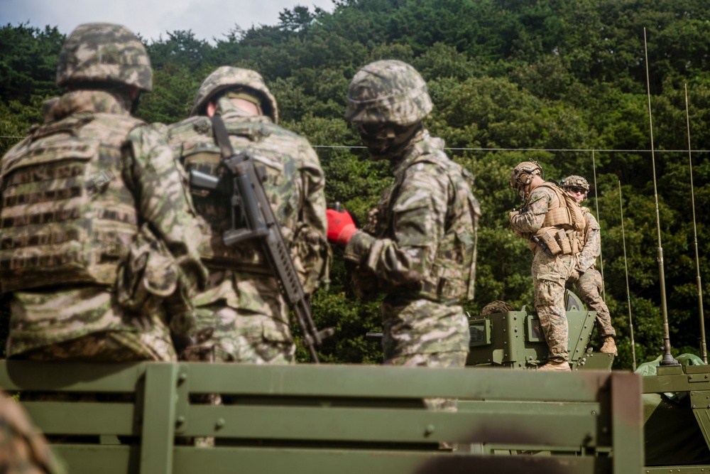ROK Marines, BLT 1/5 Marines Conduct Live-fire Range in South Korea