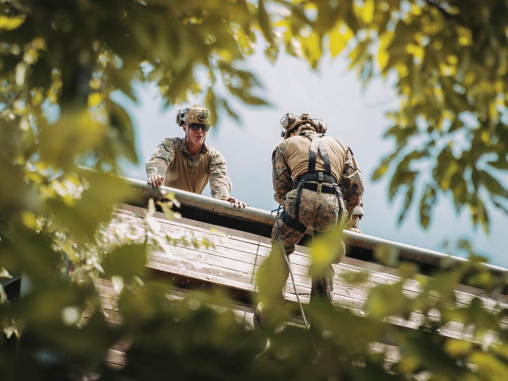 ROK, 15th MEU Recon Marines Conduct Mountain Rescue Training