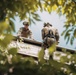 ROK, 15th MEU Recon Marines Conduct Mountain Rescue Training
