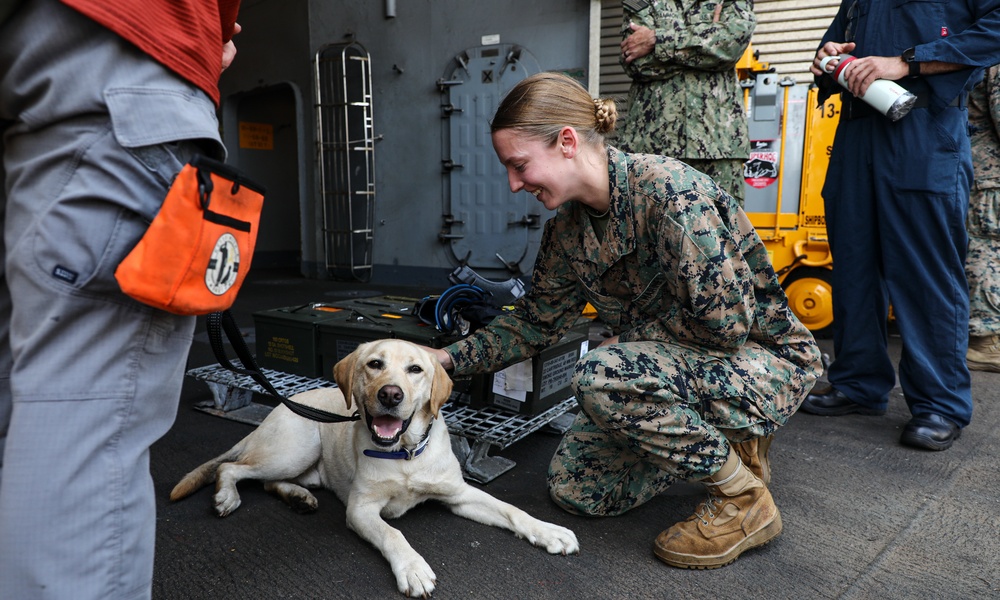 24th MEU (SOC) Leadership Visits the USS Oak Hill (LSD 51)