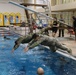 Competitors begin 100m swim for GAFPB