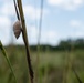 Restoring our Land