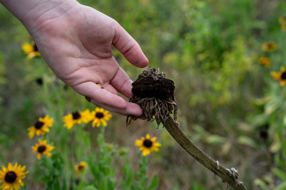Restoring our Land