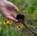 Restoring our Land