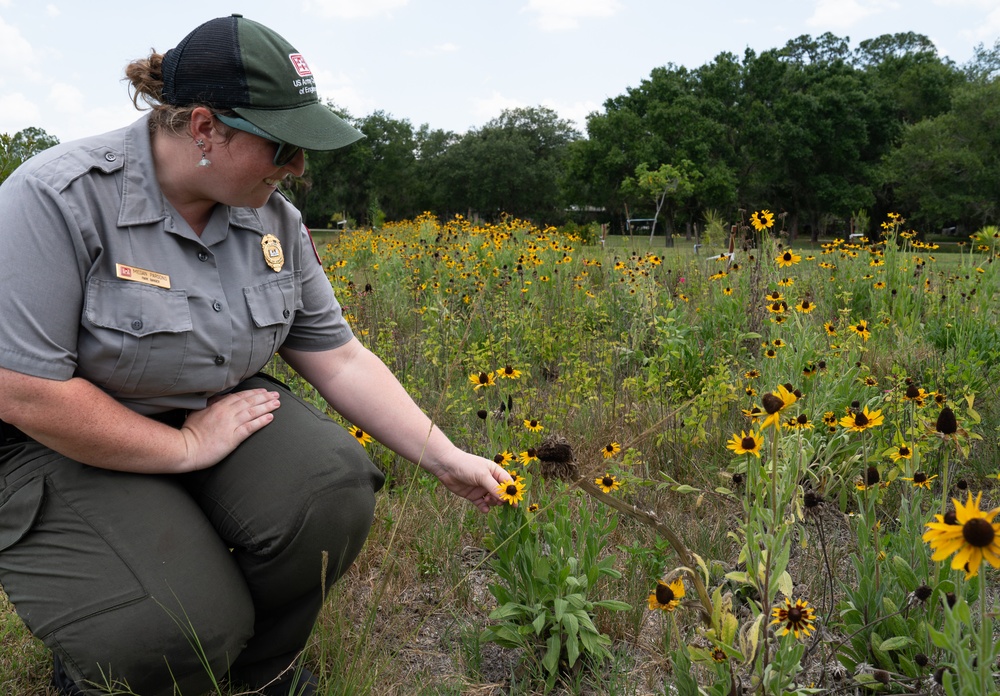 Restoring our Land
