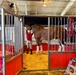 Budweiser Clydesdales prepare for Frontiers in Flight Air Show 2024