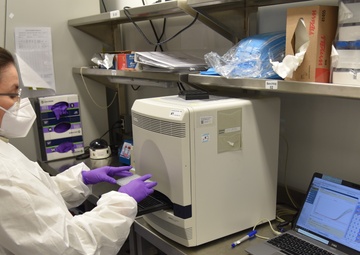 NAMRU South Virology Surveillance Efforts Against Dengue