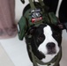 Motor City '24 Service dog Max Montgomery
