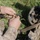 Building Leaders: 1st Battalion, 6th Marine Regiment Tactical Small Unit Leadership Course Building Leaders: 1st Battalion, 6th Marine Regiment Tactical Small Unit Leadership Course
