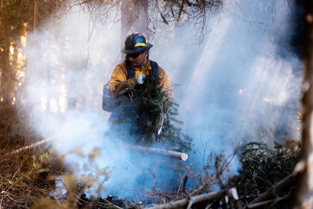 DoD Wildland Firefighting Response