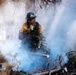 DoD Wildland Firefighting Response