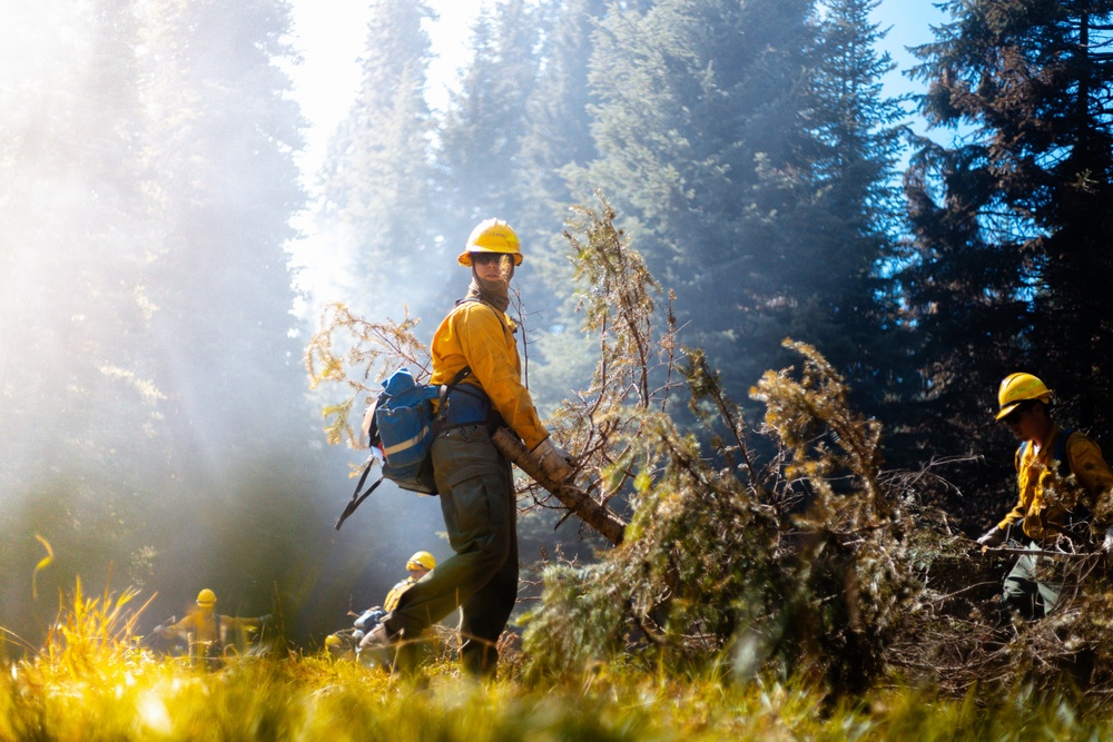 DoD Wildland Firefighting Response