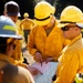 DoD Wildland Firefighting Response