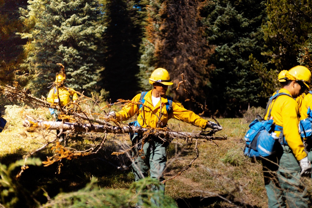 DoD Wildland Firefighting Response