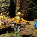 DoD Wildland Firefighting Response