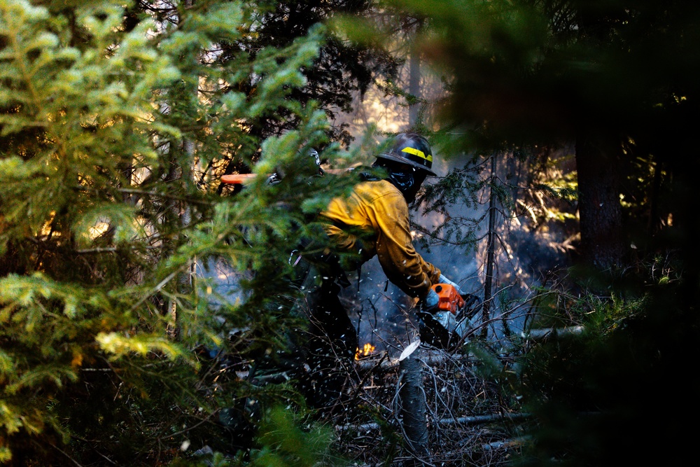 DoD Wildland Firefighting Response