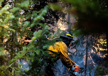 DoD Wildland Firefighting Response