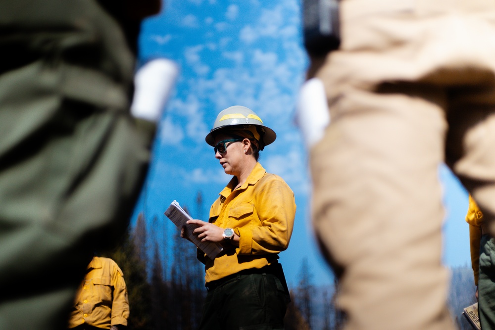 DoD Wildland Firefighting Response