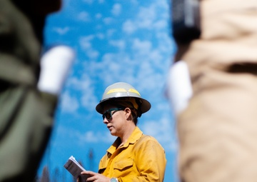 DoD Wildland Firefighting Response