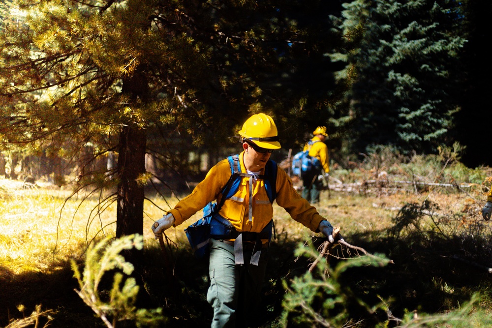 DoD Wildland Firefighting Response