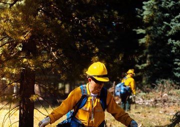 DoD Wildland Firefighting Response