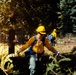 DoD Wildland Firefighting Response