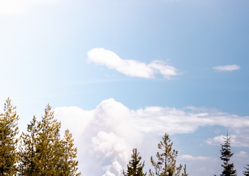 DoD Wildland Firefighting Response