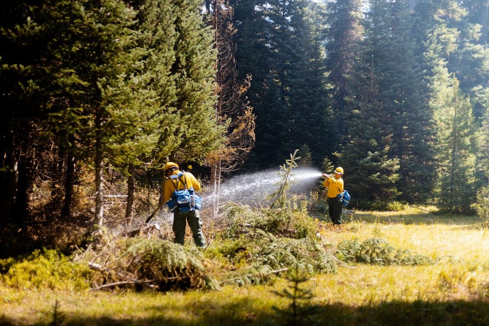 DoD Wildland Firefighting Response