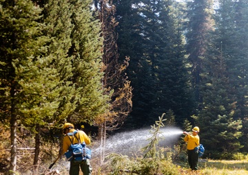 DoD Wildland Firefighting Response