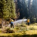 DoD Wildland Firefighting Response