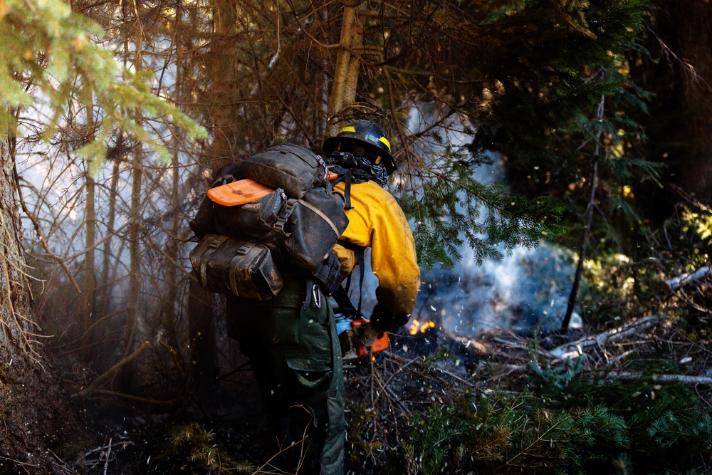 DoD Wildland Firefighting Response