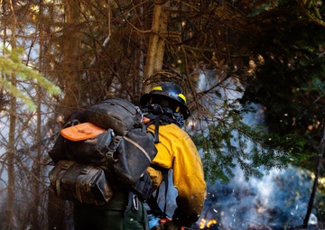 DoD Wildland Firefighting Response