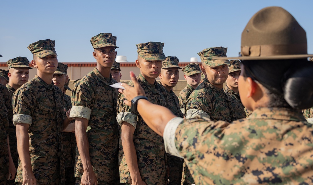 Delta Company Px and Haircuts