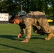 1st Cavalry Division Sustainment Brigade’s 67th Birthday Commemoration