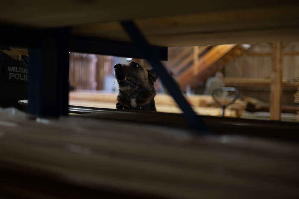 Combined Military Working Dog Detachment - Europe Certifications
