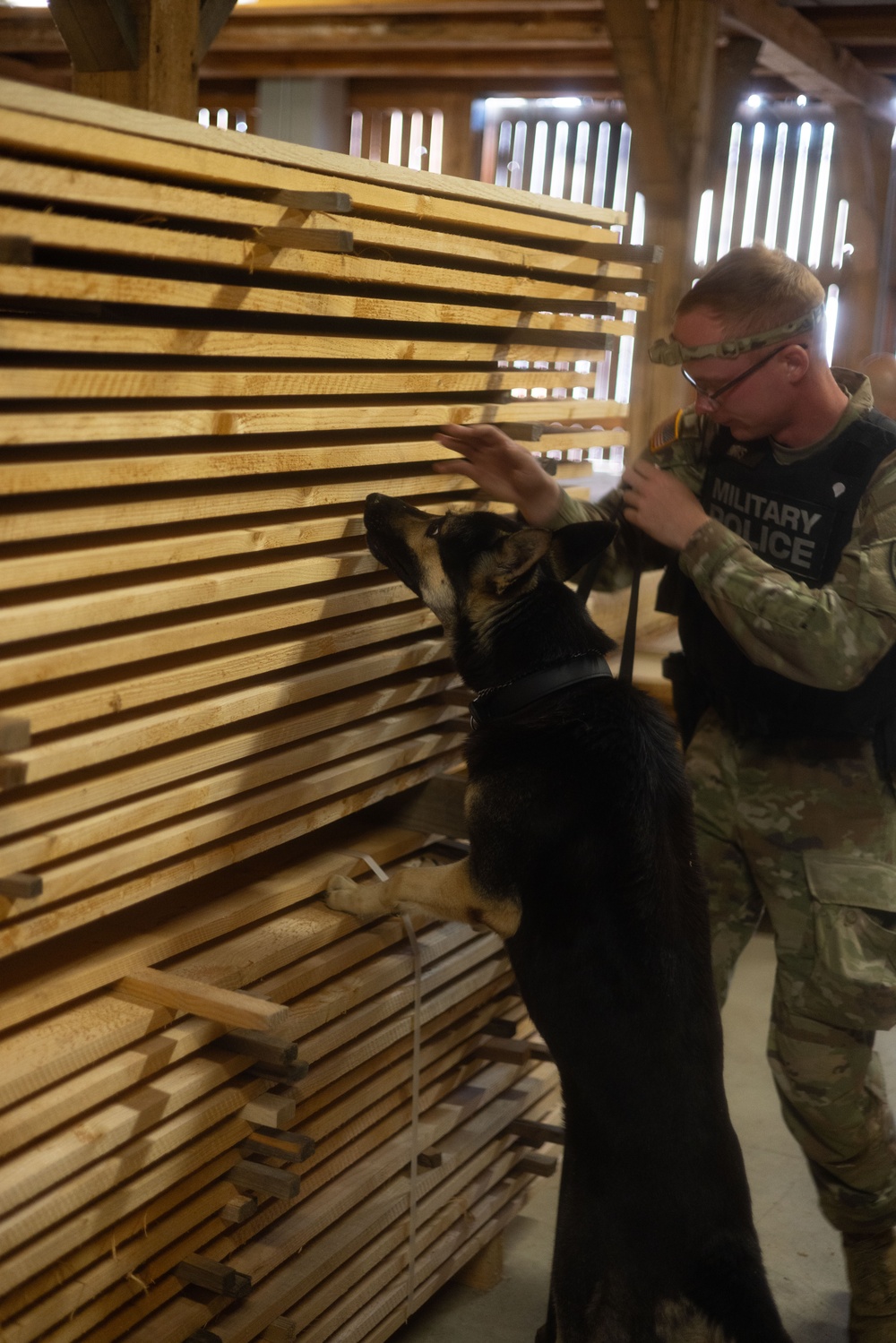 Military Working Dog Certification