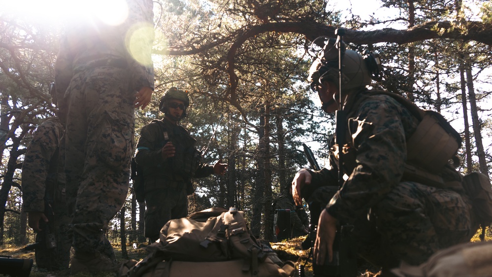 Finnish Readiness Exercise: Fire Missions