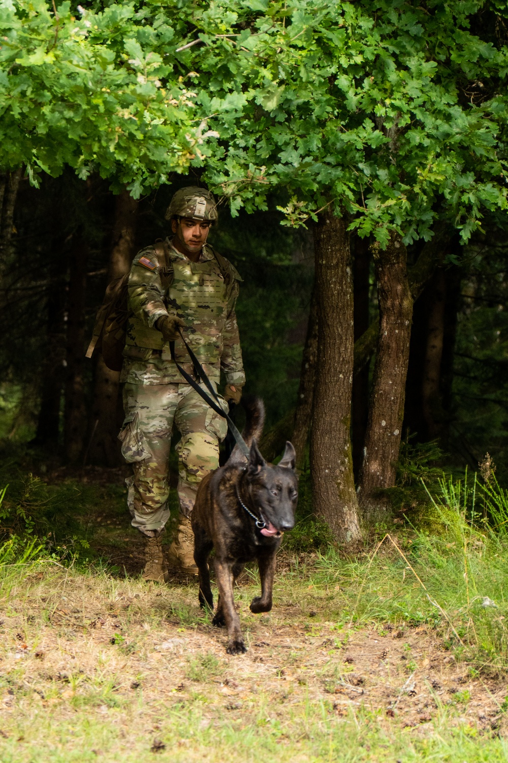 Combined Military Working Dog Detachment - Europe Certifications