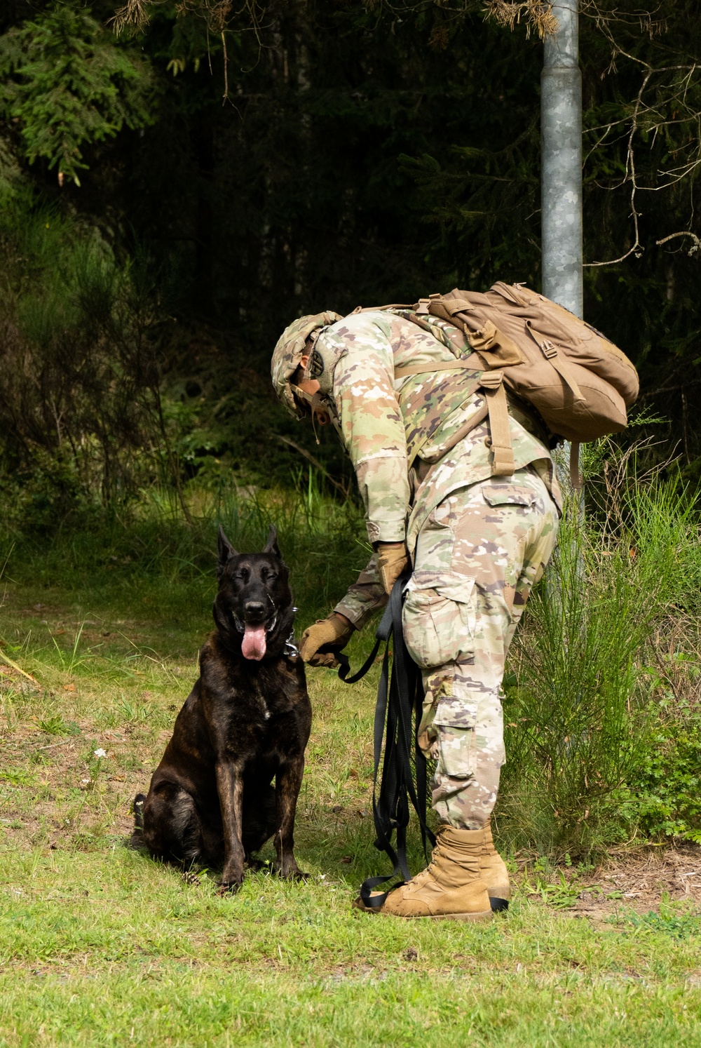 Combined Military Working Dog Detachment - Europe Certifications