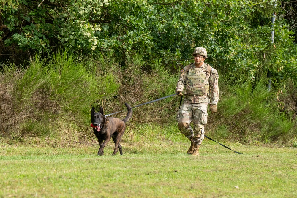 Combined Military Working Dog Detachment - Europe Certifications
