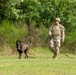 Combined Military Working Dog Detachment - Europe Certifications
